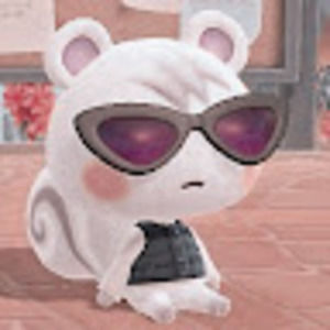 Meet your Posher, Molly